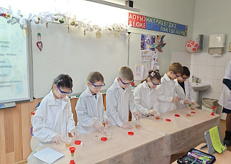 Учёные Росатома рассказали школьникам Троицка об исследованиях и профессиях атомной отрасли в День российской науки